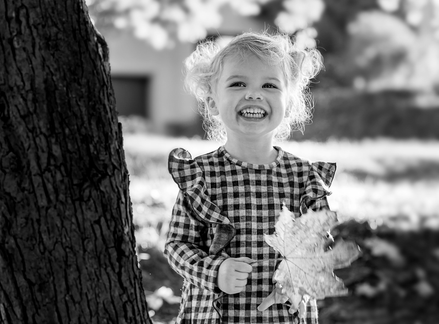 Family Sessions Family Sessions